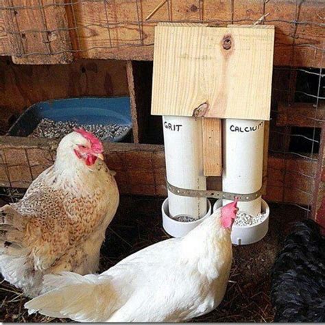 Chicken grit and calcium feeder (With images) | Urban chicken farming ...