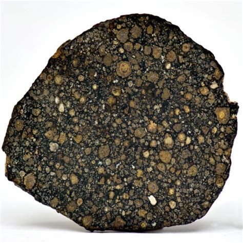 Best of the vault: unique treasures from ASU's meteorite collection ...