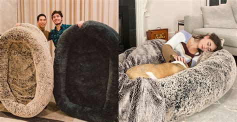 Two nap-loving UBC students designed a human-sized dog bed (PHOTOS) | Venture