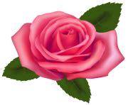 ROSE Clipart Free Images