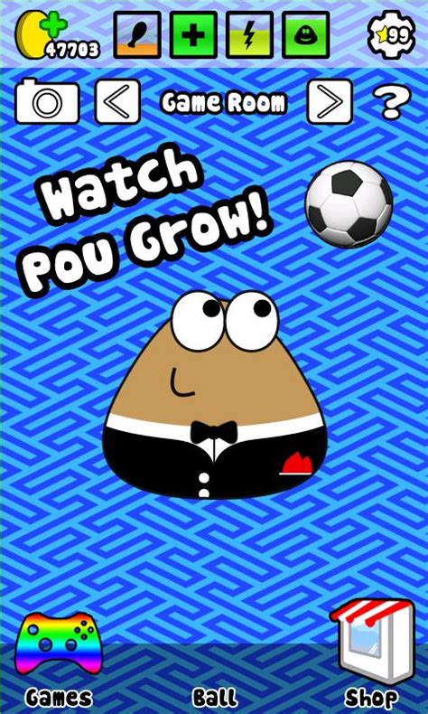 Practical PetVet®: Virtual Pets: Playing with Pou