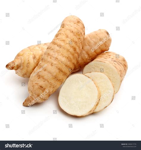 Fresh Gastrodia Elata Blume On White Stock Photo 1899017779 | Shutterstock