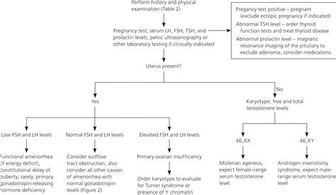 Primary Amenorrhea Algorithm