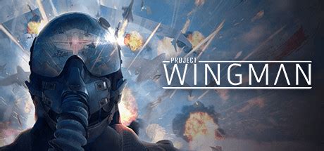 Project Wingman System Requirements — Can I Run Project Wingman on My PC?