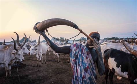 Mundari Tribe, South Sudan | Rod Waddington | Flickr