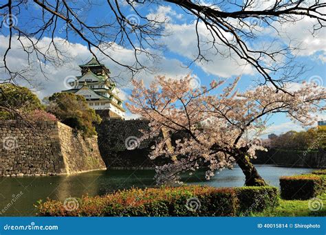 Osaka Castle with the Cherry Blossoms Stock Photo - Image of emperor ...