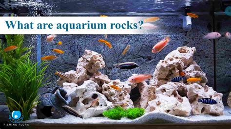 Aquarium Safe Rocks List [Essential Guide For Fish Keepers]