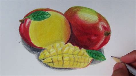 Mangoes Drawing at GetDrawings | Free download