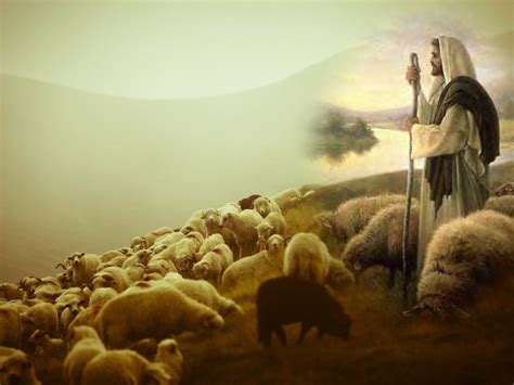 Our Good Shepherd - It's Not About Me, It's About Jesus