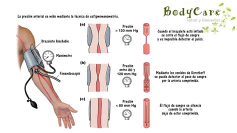 Medir correctamente la presión arterial ~ Salud y bienestar