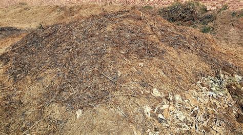 Fix your Compost Heap Problems — SA Smallholder