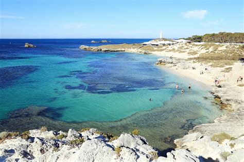 How to Plan a Perfect Day Trip to Rottnest Island in Australia | Yoga ...