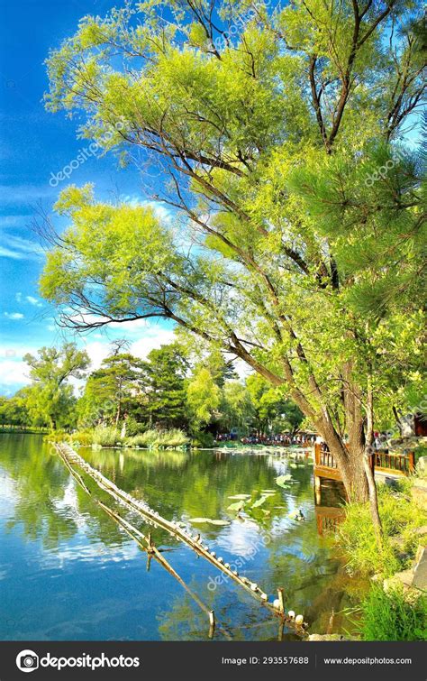 Beautiful Lake Park — Stock Photo © Imaginechina-Tuchong #293557688