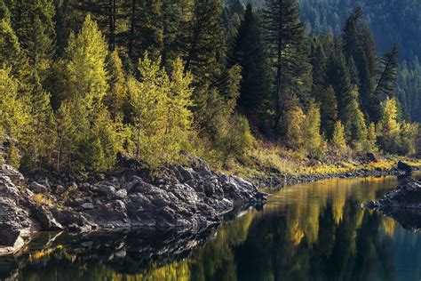 Explore The Wondrous Flathead National Forest | I Love White Fish