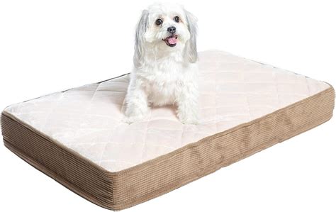 Top Orthopaedic Dog Beds For Hip Dysplasia And Arthritis - Pawsify