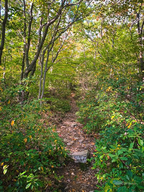 Ashokan High Point Trail (with Plane Wreck) | Popular Catskills Hiking Trail