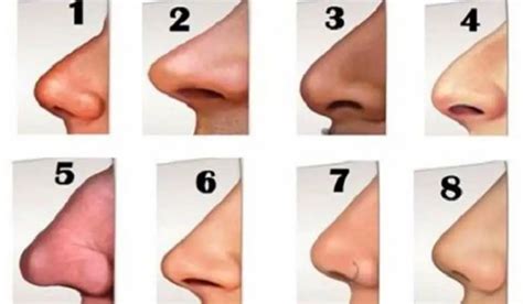 The Shape of Your Nose Reveals Something About Your Personality - Namastest