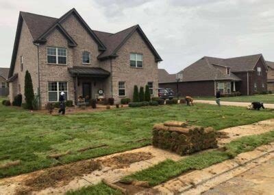 Fescue Sod - Sod Source TN LLC