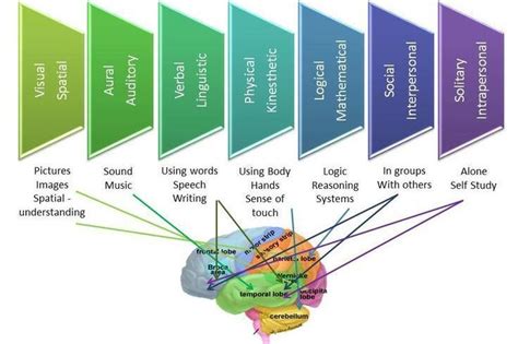 Understanding Your Individual Learning Styles in Relation to Learning to Code Brain Based ...