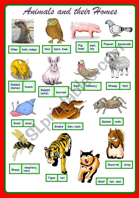 List Of Animals And Their Habitats