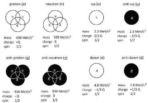 Quantum chromodynamics (QCD) representations of protons and neutrons ...