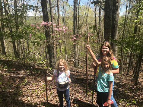 Get Involved - Big Canoe Creek Nature Preserve