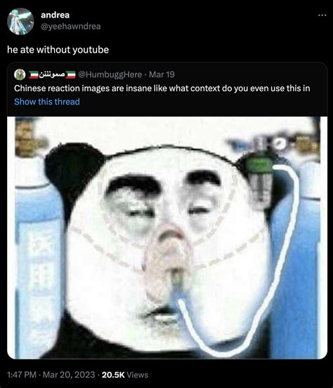 Chinese Panda Oxygen Mask (meme) | Chinese Panda Wearing Oxygen Mask | Know Your Meme