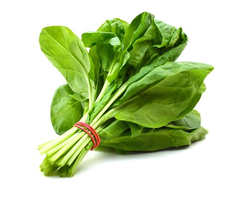 Spinach Recipe — Dishmaps