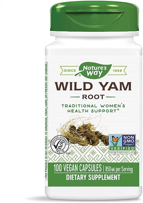 Buy Wild Yam Root 100 Caps, Nature's Way, Muscular Spasm, UK