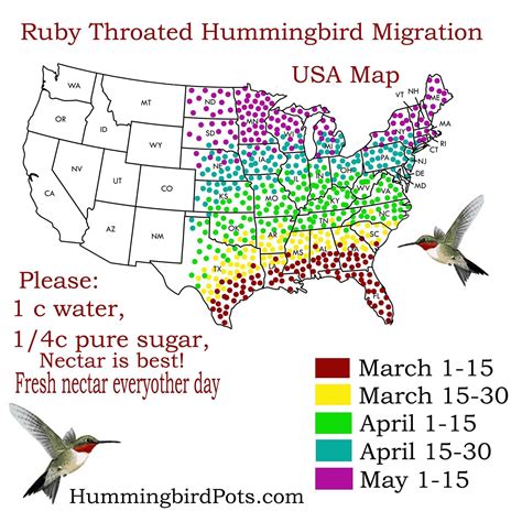 Pin by Lynda Green on Texas, the Lone Star State! | Hummingbird migration, Ruby throated ...