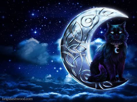 Black Cat Moon HD wallpaper | Pxfuel