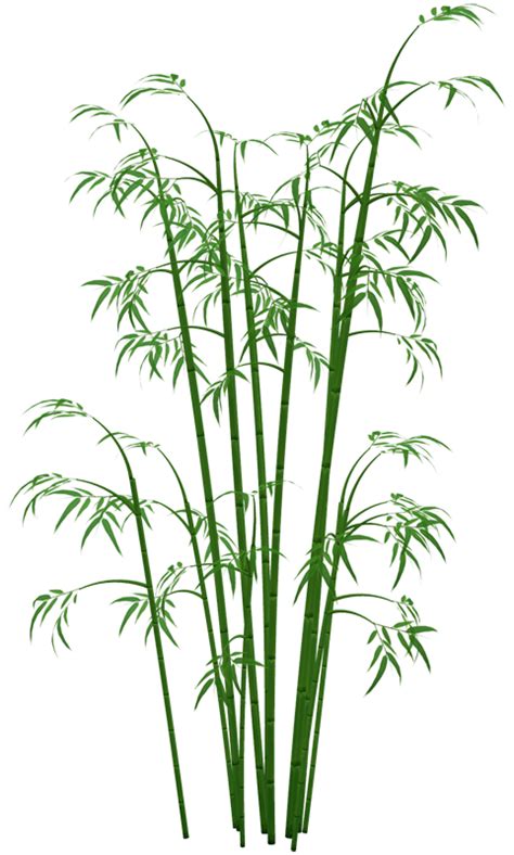 Bamboo PNG Transparent Images - PNG All