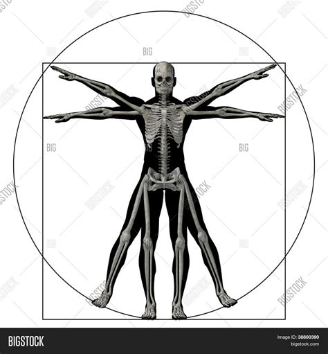 Anatomy Symbol