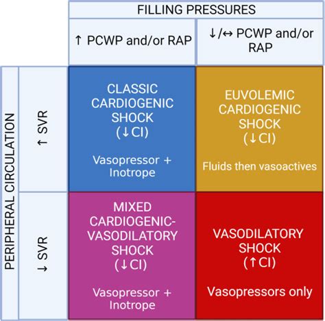 Cardiogenic Shock - Critical Care Clinics