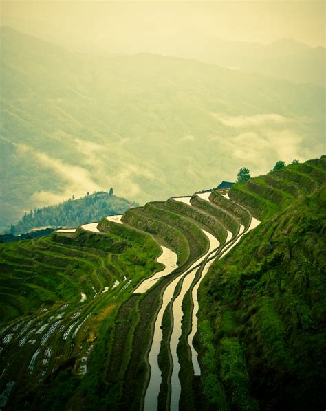 Rice terraces of Longsheng on Behance