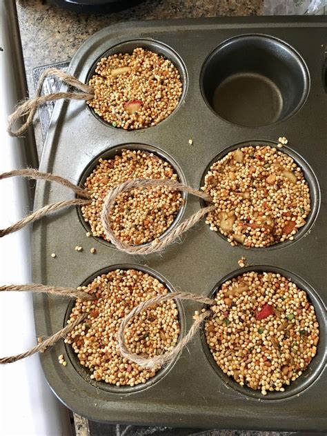 Homemade bird suet using peanut butter and apples 🍎🕊 🥜 #birdhousetips | Homemade bird feeders ...