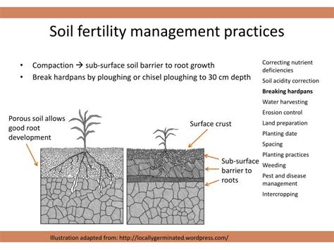 PPT - Soil & soil fertility PowerPoint Presentation - ID:6095416