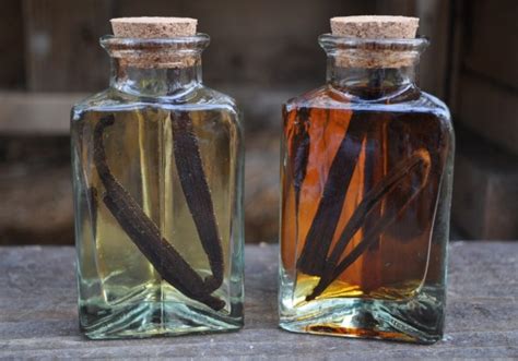 Handmade Holiday Challenge: Vanilla Extract – a small life