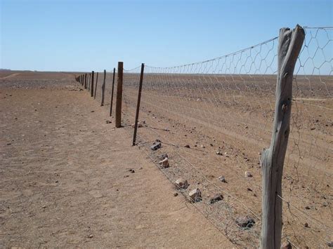 The Rabbit Proof Fence of Australia | Amusing Planet