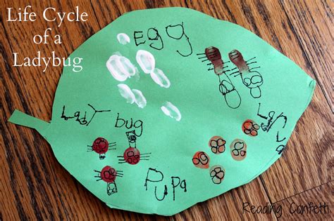 Fingerprint Lady Bug Life Cycle Craft ~ Reading Confetti