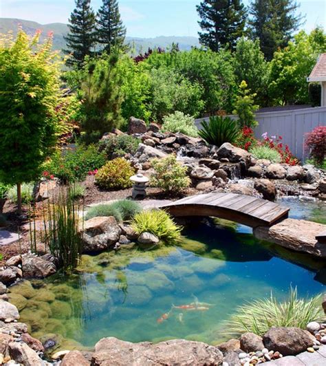 How to build a water garden - Builders Villa