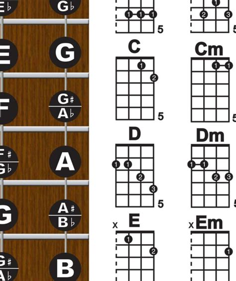 4 String Plectrum Banjo Fingerboard Chords Poster Chart | eBay