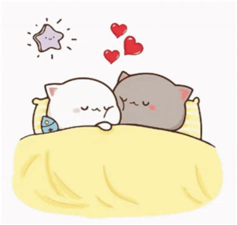 Adorable Mochi Cats Sleeping and Snuggling