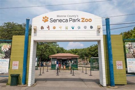 Visiting the Seneca Park Zoo in Rochester, NY - Uncovering New York