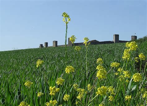 Monteriggioni | « però che, come in su la cerchia tonda Mont… | Flickr