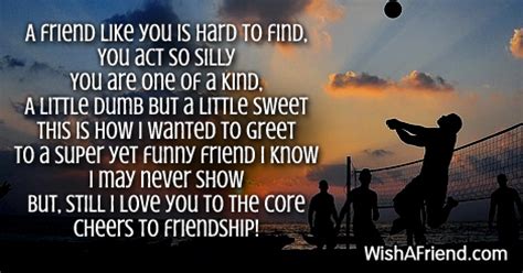 Like you in life , Funny Friendship Poem