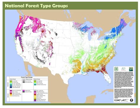 National Forest Type Groups of the United States [8800 × 6800] : MapPorn