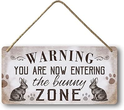 Amazon.com : Funny Bunny Wall Decor, Easter Bunny Decorations For Home Rabbit Sign Bunny Poster ...