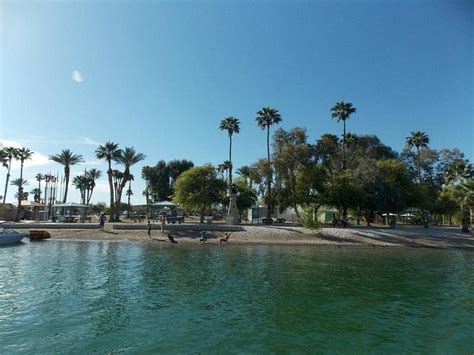 Lake Havasu State Park (Lake Havasu City) - All You Need to Know BEFORE ...