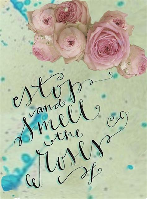 Quotes Smell The Flowers. QuotesGram